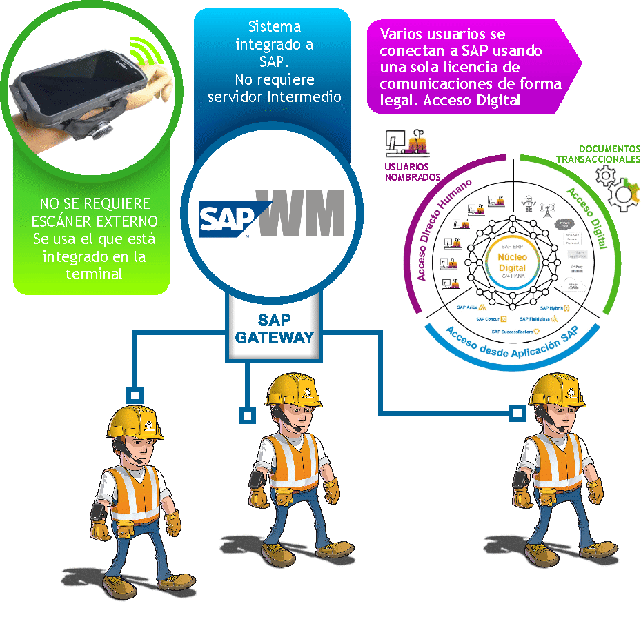 Diagrama ilustrando la optimización de licencias SAP